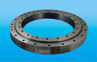 Slewing Bearing